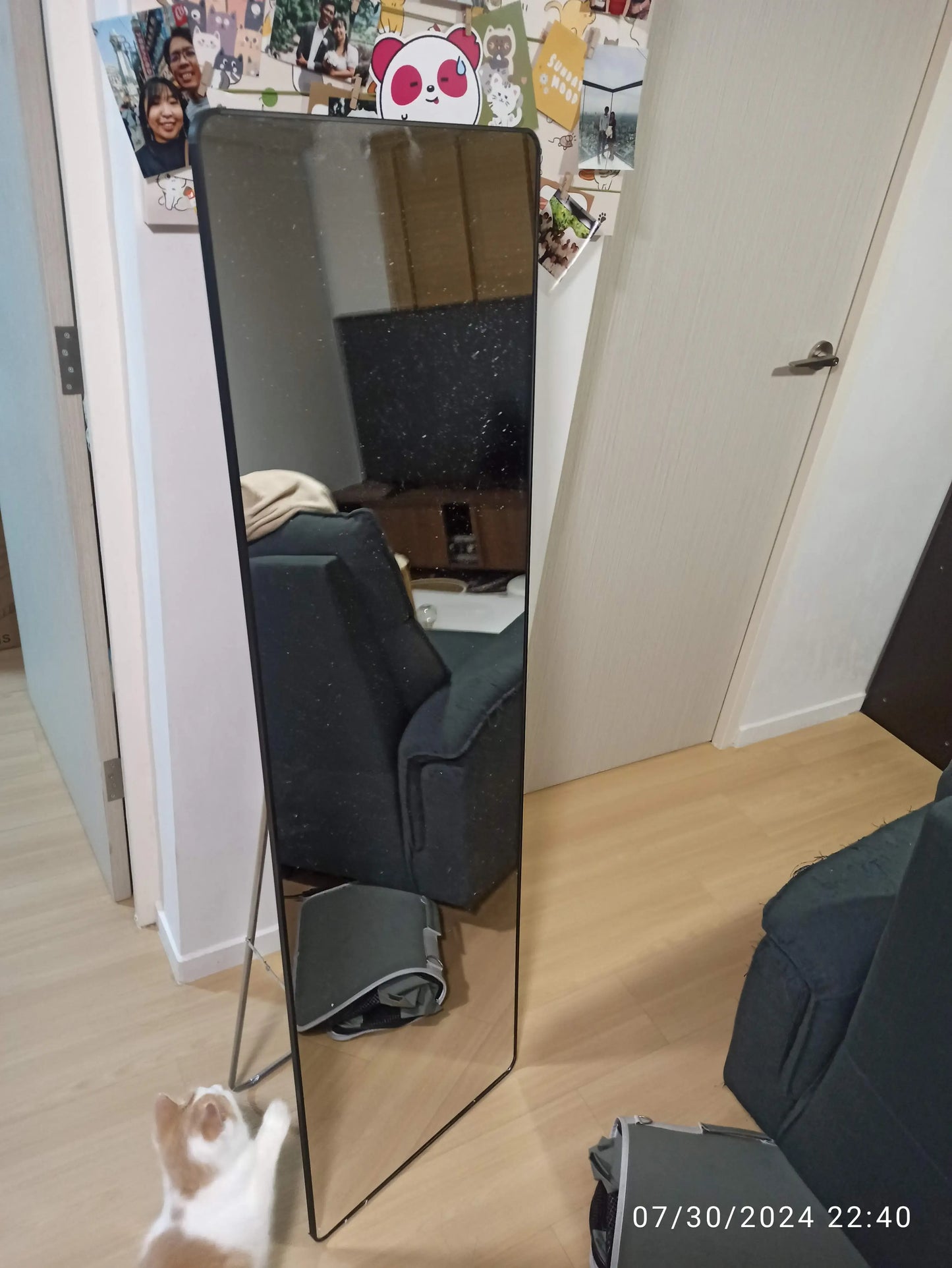 Modern Shiny Full-Length Mirror